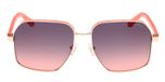 SHINY PALE GOLD / SHINY LIGHT PINK / GRADIENT SMOKE