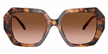 Jet Set Tortoise / Brown Gradient
