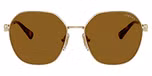 Pale Gold / Dark Brown Polar