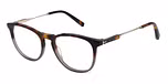 GLOSS TORT XTAL KHAKI GRAD
