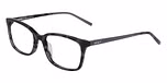 BLACK TORTOISE