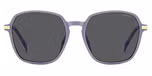 LILAC / GREY POLARIZED