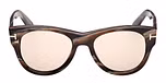 COLOURED HORN / COLOURED HORN / BROWN / PHOTOCHROMIC