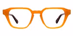 Amber tortoise