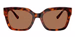 Dark Havana / Brown / Dark Brown