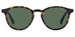 HAVANA / GREEN POLARIZED