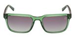 SHINY LIGHT GREEN / MATTE LIGHT GREEN / GREEN POLARIZED
