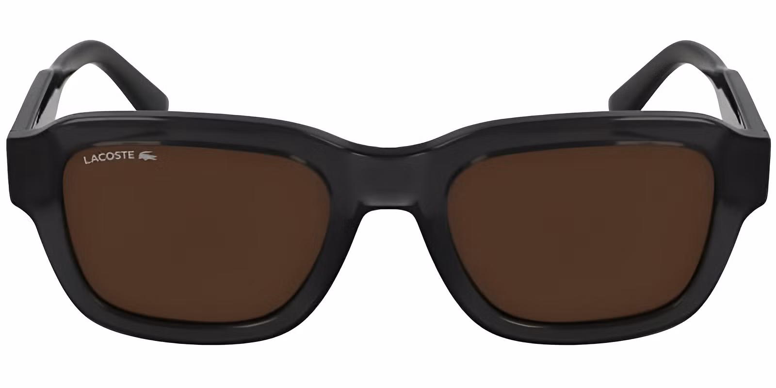 L6048S