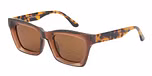 Brown / Brown Lens