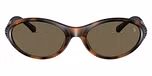 Shiny Havana / Brown