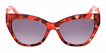 RED HAVANA / SHINY LIGHT RED / GRADIENT SMOKE