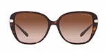 Dark Tortoise / Brown Gradient