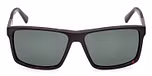 DARK HAVANA / GREEN POLARIZED