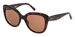 SHINY CLASSIC HAVANA / BROWN