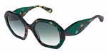 DARK GREEN / GRADUATED