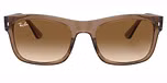 Transparent Light Brown / Light brown