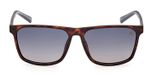 DARK HAVANA / SMOKE POLARIZED