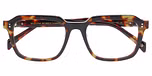 TORTOISE DARK SHINY