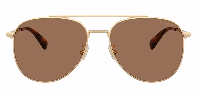 COACH - HC7190