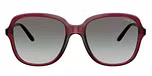 Transparent Cherry / Violet / Gradient Dark Grey