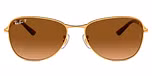 Gold / Brown polarized