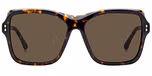 HAVANA (BROWN)