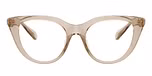 Transparent Beige / Brown