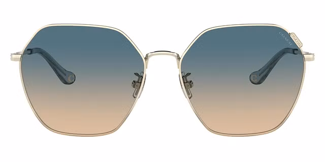 COACH - HC7132