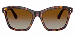 Havana / Tortoise / Polarized Brown Gradient