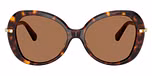 Havana / Tortoise / Dark Brown