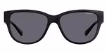BLACK (GREY POLARIZED)