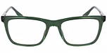 TRANSPARENT GREEN