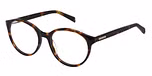 TORTOISESHELL