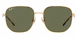 Gold / Dark Green polarized
