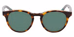 TORTOISE / GREEN