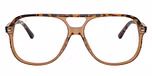 Havana & Brown / Brown