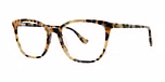 Black tortoise