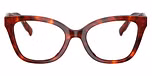 Walnut Tortoise