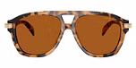 Vintage Tortoise / Tortoise / Amber