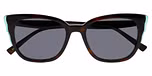 TORTOISE DARK SHINY