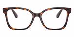 Havana / Tortoise