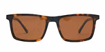 Tort with Brown Lens