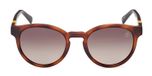 DARK HAVANA / BROWN POLARIZED