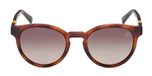 dark havana / brown polarized