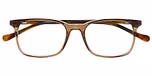 BROWN MEDIUM TRANSPARENT