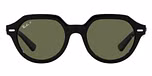 Black / Green polarized