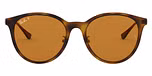Light Havana / Brown polarized