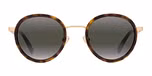 Gold / Tortoise / Greylynx