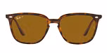 HAVANA / havana / polarized brown