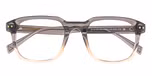 Dominant Light Grey